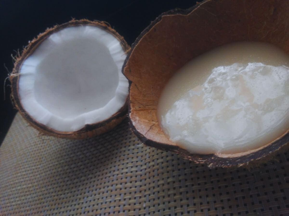 Leite Condensado de Coco Caseiro