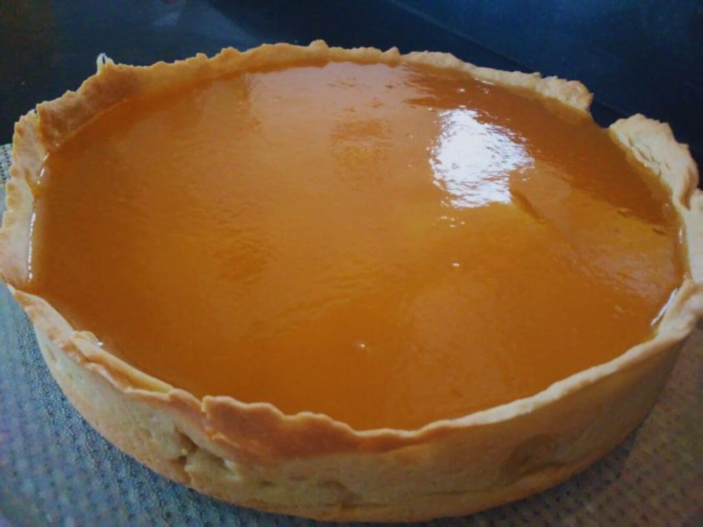 Torta de Manga Sem Lactose